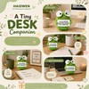 HAIDWEN Crochet Frog, Cute Frog Gifts for Friends, Office Desk