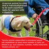 YeeBeny Service Dog Leash, Emotional Support Leash with Neoprene Handle