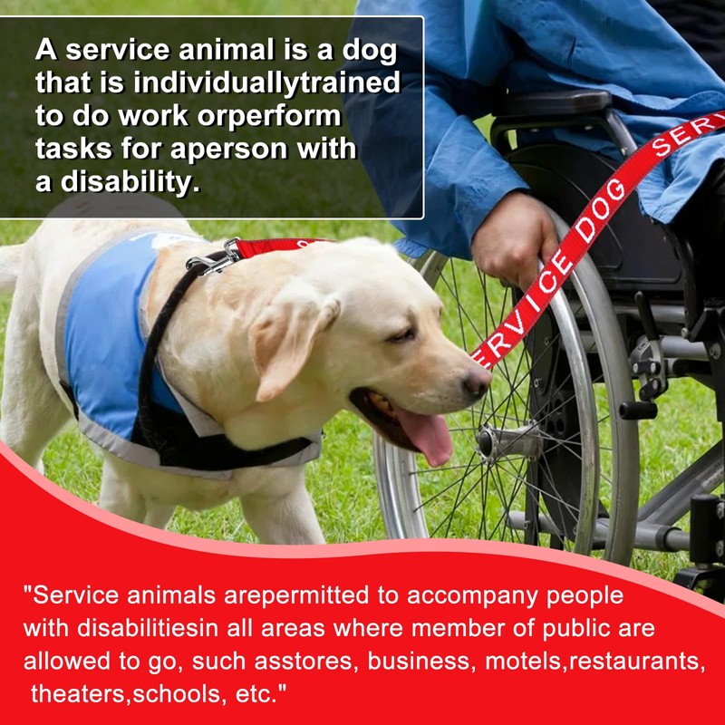 YeeBeny Service Dog Leash, Emotional Support Leash with Neoprene Handle
