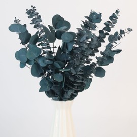25 Pcs Preserved Dried Eucalyptus Stems & Silver Dollar Leaves Bundle, Natural Real Fresh Eucalyptus, 17" Preserved Eucalyptus Branches for Shower Hanging, Bathroom Decor, Garland, Greenery Plant