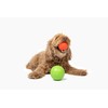 Jolly Pets Mini Jolly Soccer Ball; Floating-Bouncing Dog Toy; 3"