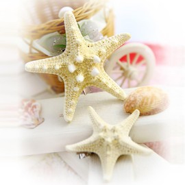 UUYYEO 4 Pcs Sea Star Hair Clips Sea Shell Hair Clips Star Fish Hair Pins Hairpins Starshell Hair Pieces Beach Hair Barrettes Mermaid Costume Accessories White
