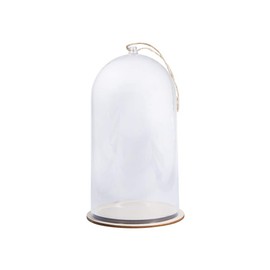 19cm Tall Plastic Bell Jar Cloche with Jute Cord for Crafts