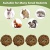 4 x Chew Balls, Small Animals Chew Toy, Rabbit Toy,