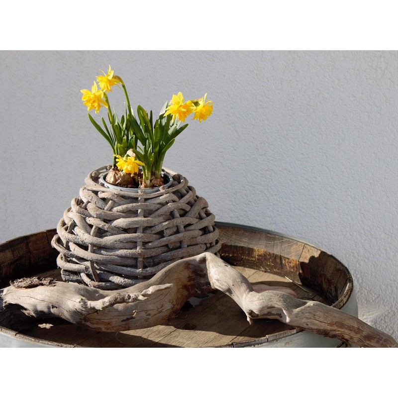 Brandsseller Flower Pot Made of Branches Braided Diameter 10 cm