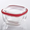 Hario Square Container-Clear-600ml, Medium, Red