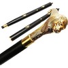 Dynamic Handcraft Solid Brass Lion Head Walking Cane | Handcrafted