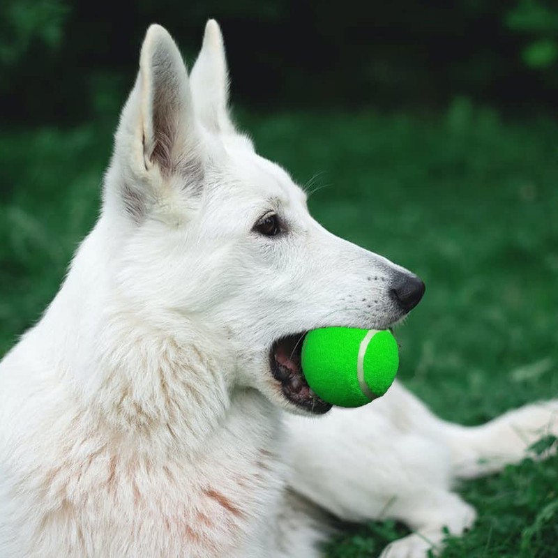 Swity Home Tennis Balls, 24 Pack Tennis Training Balls for