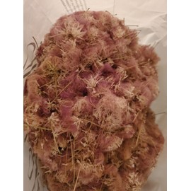 mimosa Dried Silk Mimosa Tree Fragarant Pink Flowers Tea Tincture Albizia Julibrissin
