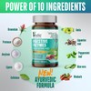 Vedic Digestive Enzymes + Herbs Complex for Better Digestion &