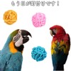 Lubonarie Munche Balls Bird Toys Toy Parakeet Toy Cockatiel Buddy