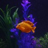 4PCS Aquarium Fish Tank Luminous Silicone Artificial Fake Fish Landscape