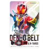 Kamen Rider Transformation Sound Card Selection Assorted Set EX-1