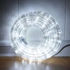 33ft LED Rope Lights, 110V 2 Wire Connectable Christmas Rope