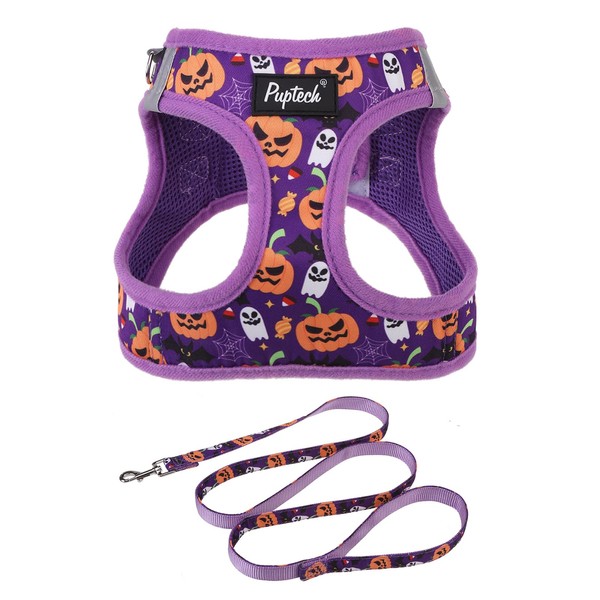 PUPTECK Dog Harness and Leash Set for Small Medium Dogs