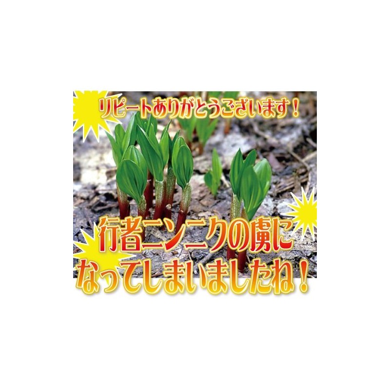 北海道行者ニンニク黒玉 450mg×62球