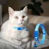 Jecikelon 6 PCS Puppy Collars Adjustable Pup Collar for Small