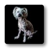 Fractal Artworks Chinese Crested Coaster with Fractal Art Design #1-1.
