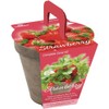 TotalGreen Strawberry Grow Kit