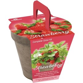 TotalGreen Strawberry Grow Kit