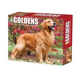 Goldens 2023 Calendar