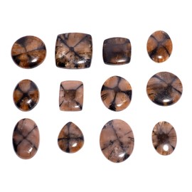 Gemkora 3pcs Natural Chiastolite Gemstone Wholesale Cabochons Lot, Jewelry Making Loose Gemstone, Polished Home Decor Specimen, DIY, Wire Wrapping, Reiki, Healing Crystals, Bulk Gemstone Deal