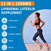 1200MG Liposomal Luteolin Supplement - Maximum Absorption, Antioxidant Boost for