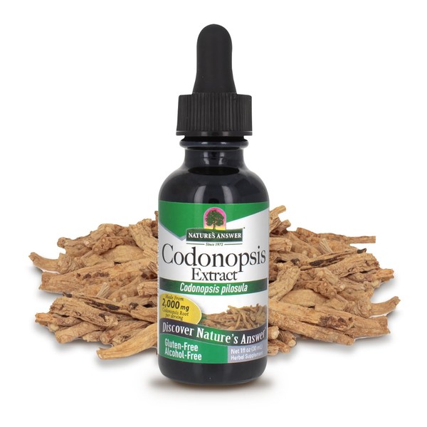 Nature's Answer Codonopsis Root Organic Alcohol Free 1 Fluid Ounce