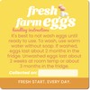 Havongki 100 Pack Premium Fresh Farm Eggs Handling Instructions Stickers
