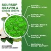 GORNVB (2 Pack) Soursop Graviola Gummies - 2200mg Extra Strength
