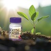 Bonide Bontone II Rooting Powder, 1.25 oz Ready-to-Use Dust for
