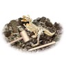 Smithsonian Diggin' Up Dinosaurs T-Rex Plastic Skeleton Set Educational,Fun,Science,Archeological Playset