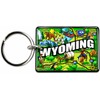 Wyoming - Llavero de acrílico para recuerdo, accesorio retro de