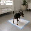 Paños Absorbentes Pañales Tapete Perro Entrenadores 100 Pz