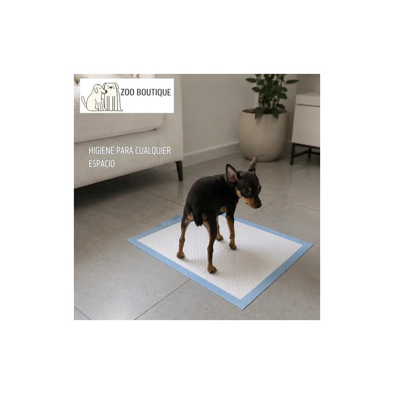 Paños Absorbentes Pañales Tapete Perro Entrenadores 100 Pz