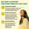 5-in-1 Mullein Drops for Lungs and Bronchial - Respiratory Lung