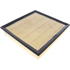 Engine Air Filter - (FA-1950)