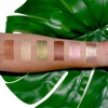 Palladio Liquid Eyeshadow Creamy Shimmer Formula that Adheres Instantly to
