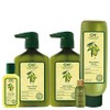 CHI Olive Organics - Shampoo & Body Wash 11.5 Fl