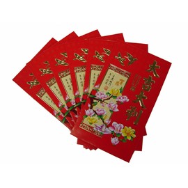 24 Pcs Chinese Lucky Money Red Envelopes Hong Bao for Lunar New Year Wedding Party