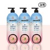 Organist Himalayan Pink Salt Rich Lather Refreshing Body Wash 900g Mint Scent, 900ml, 3 Pieces / 오가니스트 히말라야 핑크솔트 풍성한 거품 산뜻한 바디워시 900g 민트향, 900ml, 3개