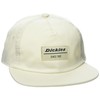 Dickies Men's Low Pro Athletic Cap Brown