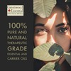 Greenwood Essential Pure Horsetail Oil (Equisetum arvense) Cold Pressed 10ml