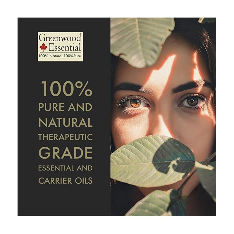 Greenwood Essential Pure Horsetail Oil (Equisetum arvense) Cold Pressed 10ml