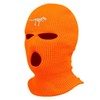 Dinosaour Skeleton Ski Mask Embroidered Dino Three Hole Mask Skull