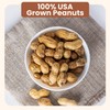 Wellsley Farms Unsalted and Roasted In-Shell Peanuts - USA Grown