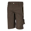 Qualitex PRO MG 245 Shorts in Various Colours - 46