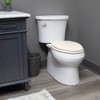 Bemis 1500EC Durable Wood Toilet Seat with Easy Clean Hinges,