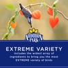 Audubon Park Extreme Variety Wild Bird Seed for Outside Feeders,
