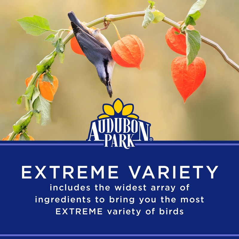Audubon Park Extreme Variety Wild Bird Seed for Outside Feeders,
